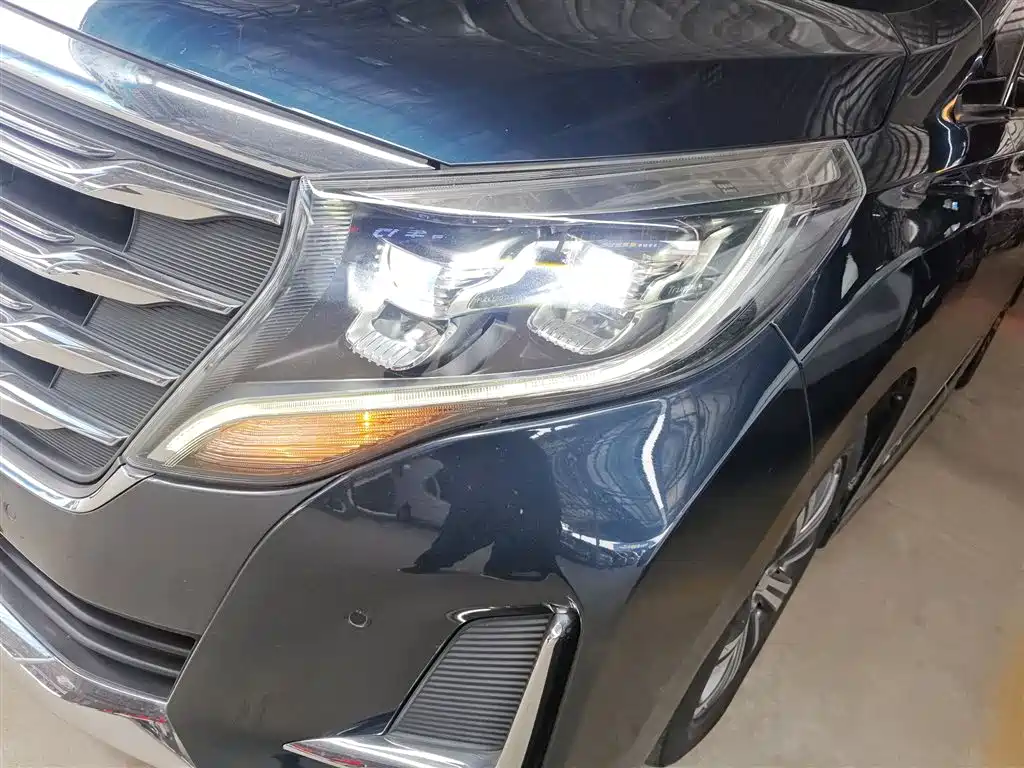 GAC Motor Trumpchi M8 2020 — фото 24