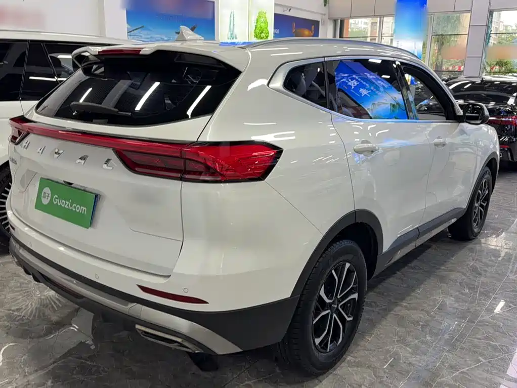 Haval H6 2021 — фото 11
