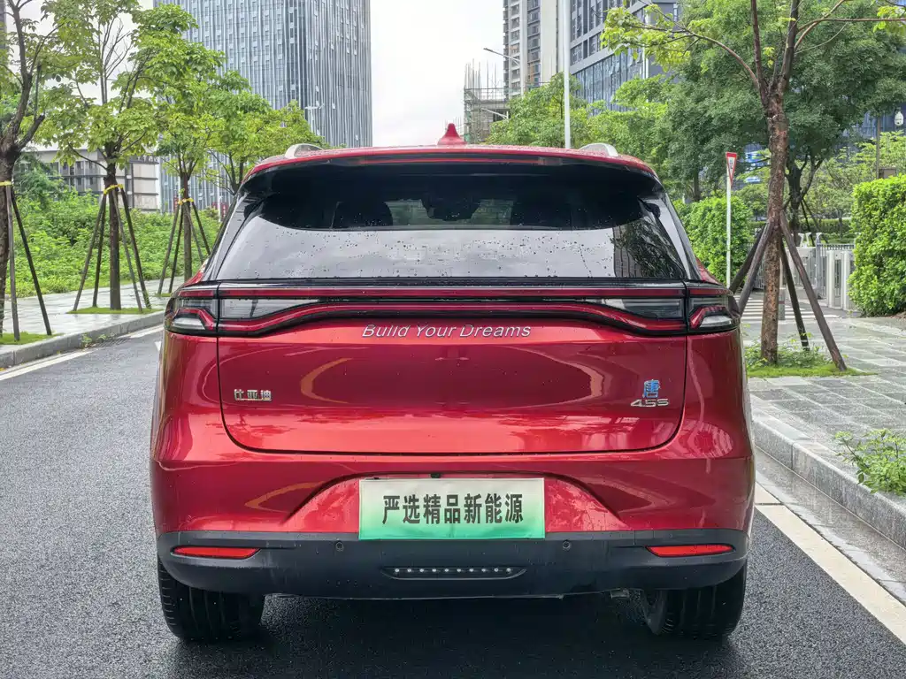 BYD Tang New Energy 2020 — фото 4