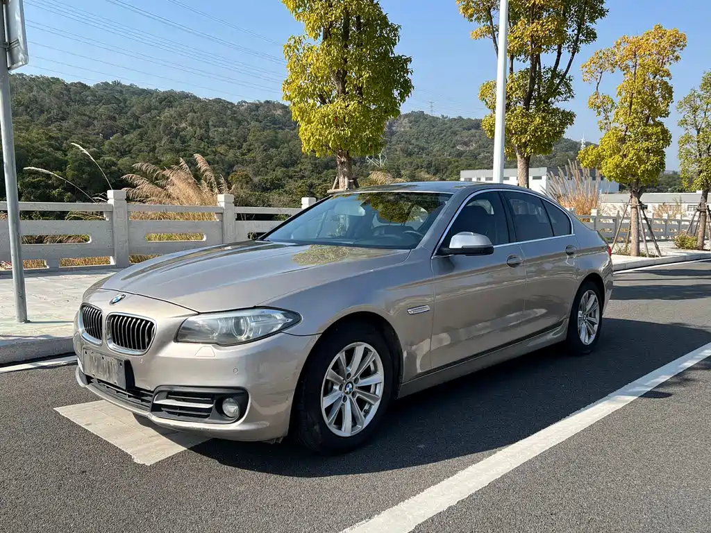BMW 5 Series 2015 — фото 1