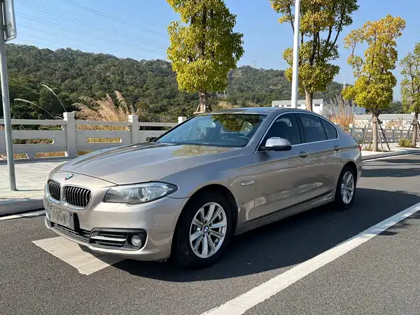 BMW 5 Series 2014