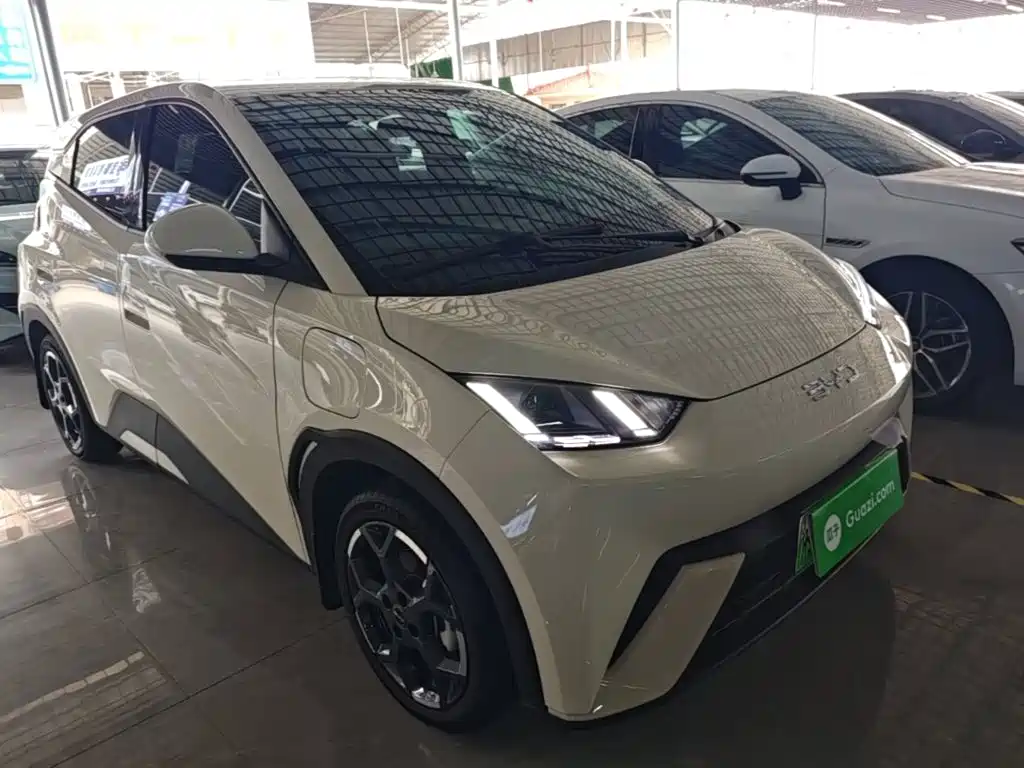 BYD Seagull 2024