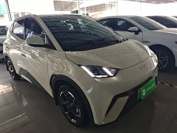 BYD Seagull 2024