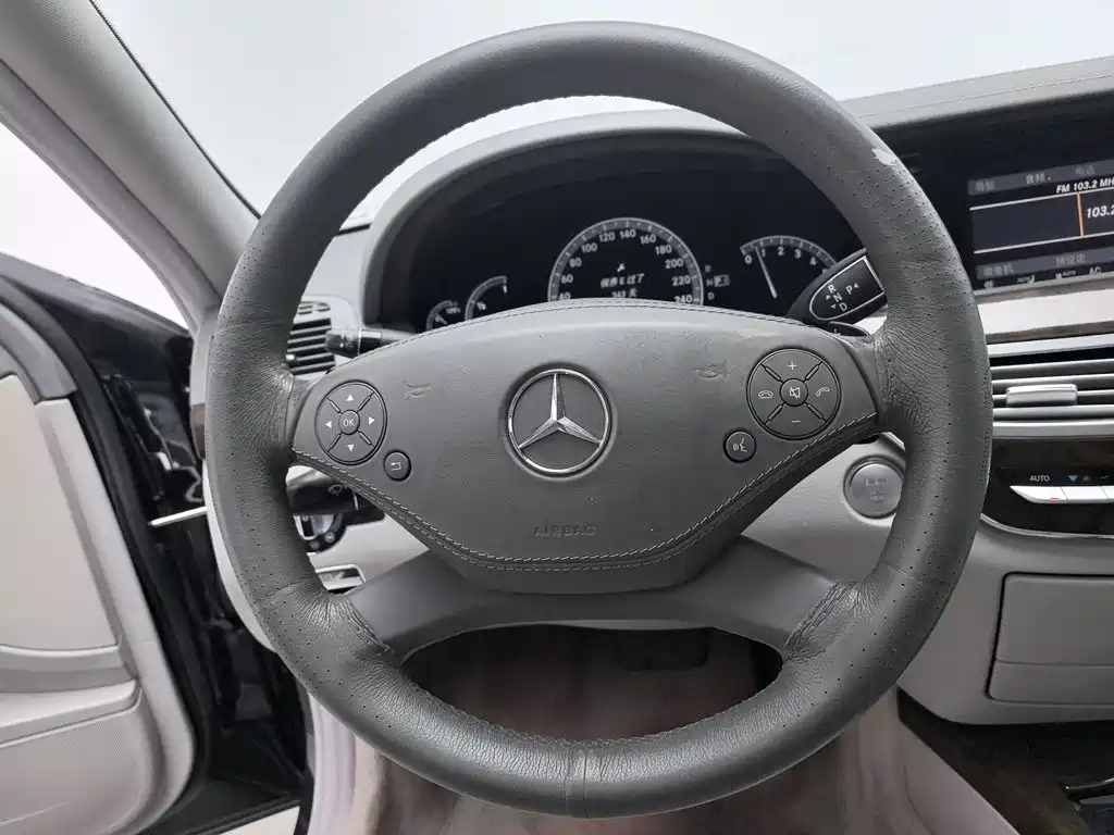 Mercedes-Benz S-Class 2010 — фото 11