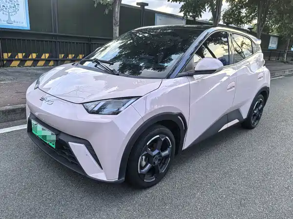 BYD Seagull 2024