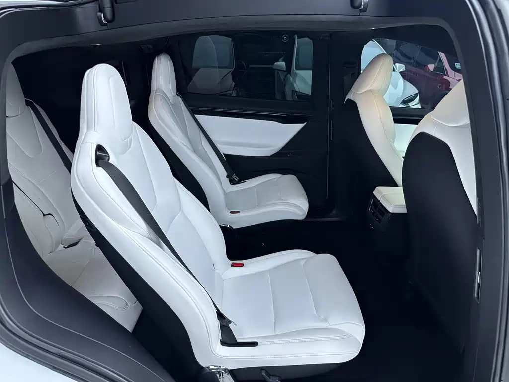 Tesla Model X 2021 — фото 13