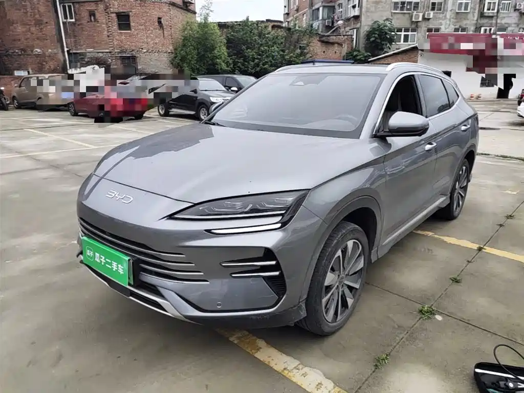 BYD PLUS New Energy 2024