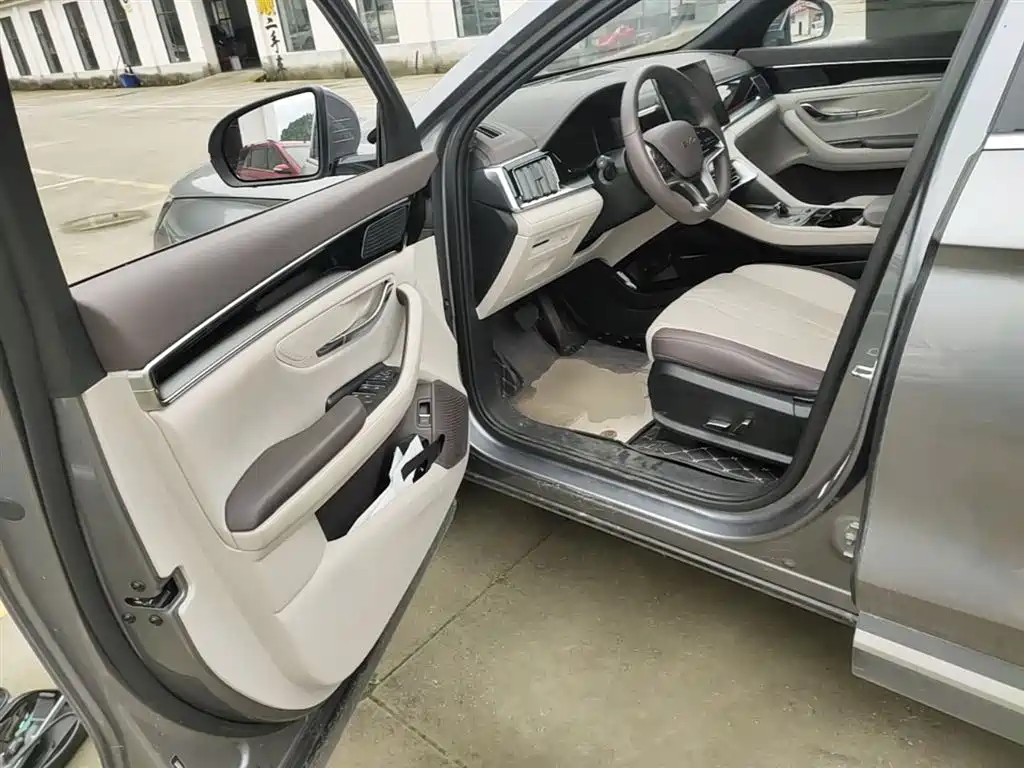 BYD PLUS New Energy 2024 — фото 16