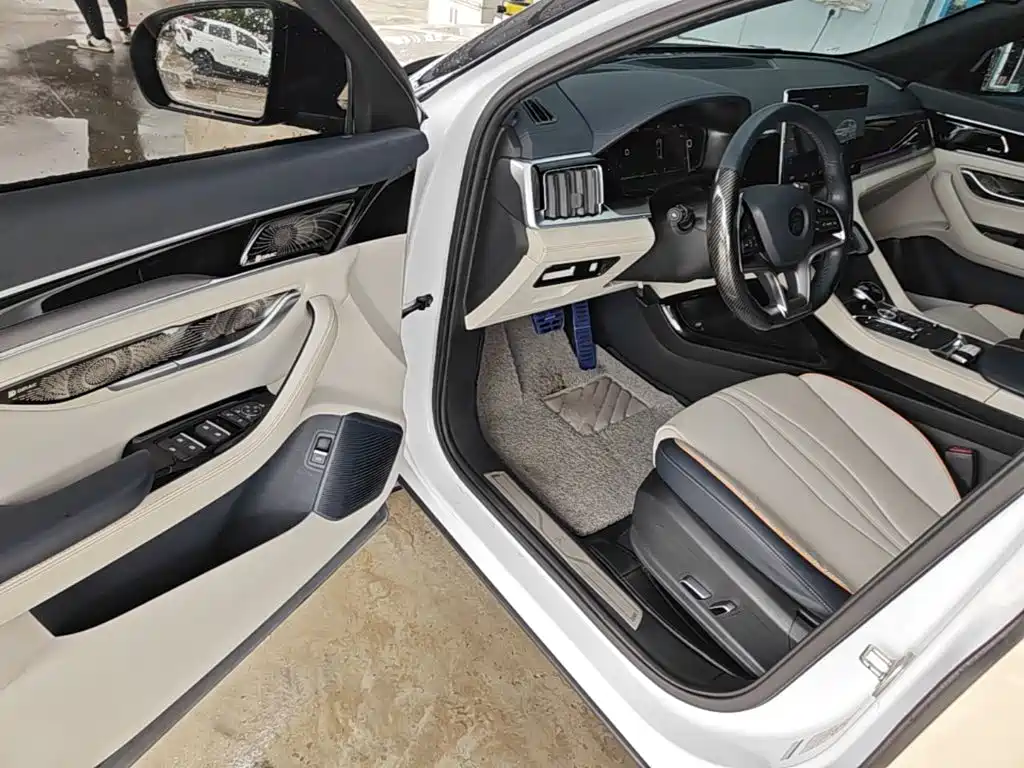 BYD Song PLUS New Energy 2023 — фото 16
