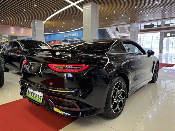 Neta GT 2024