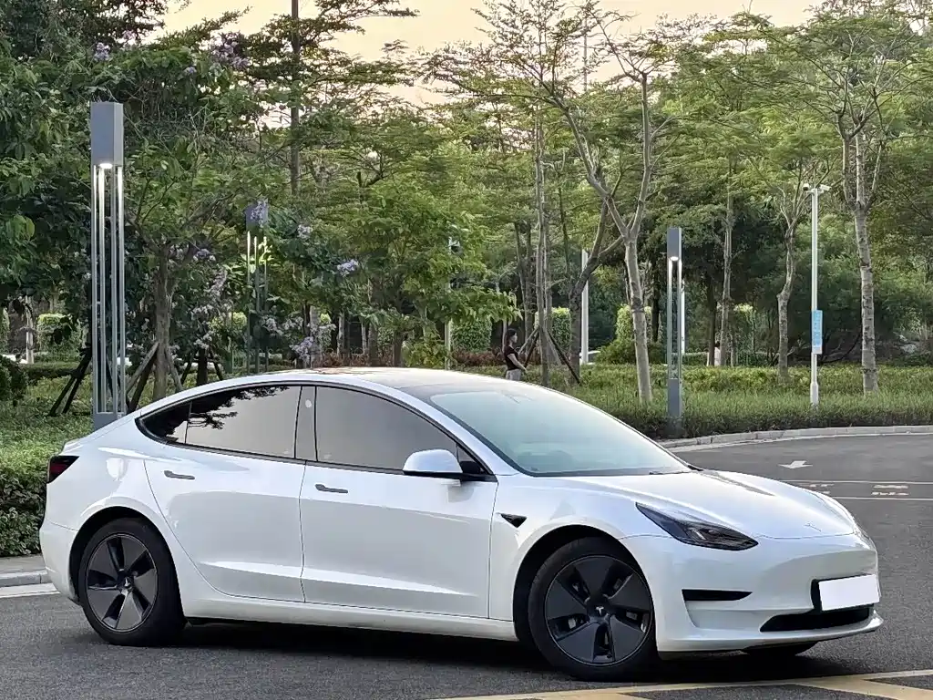 Tesla Model 3 2021 — фото 13
