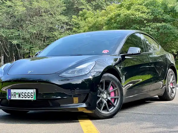 Tesla Model 3 2021