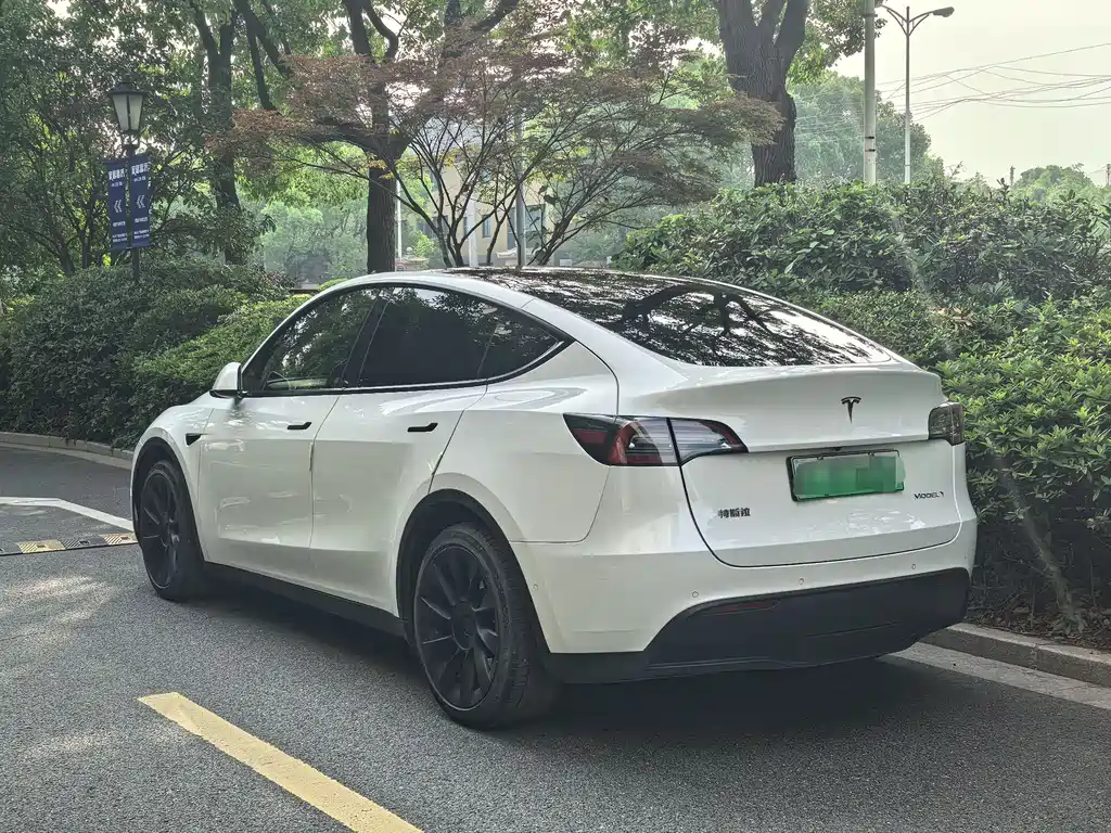 Tesla Model Y 2021 — фото 10