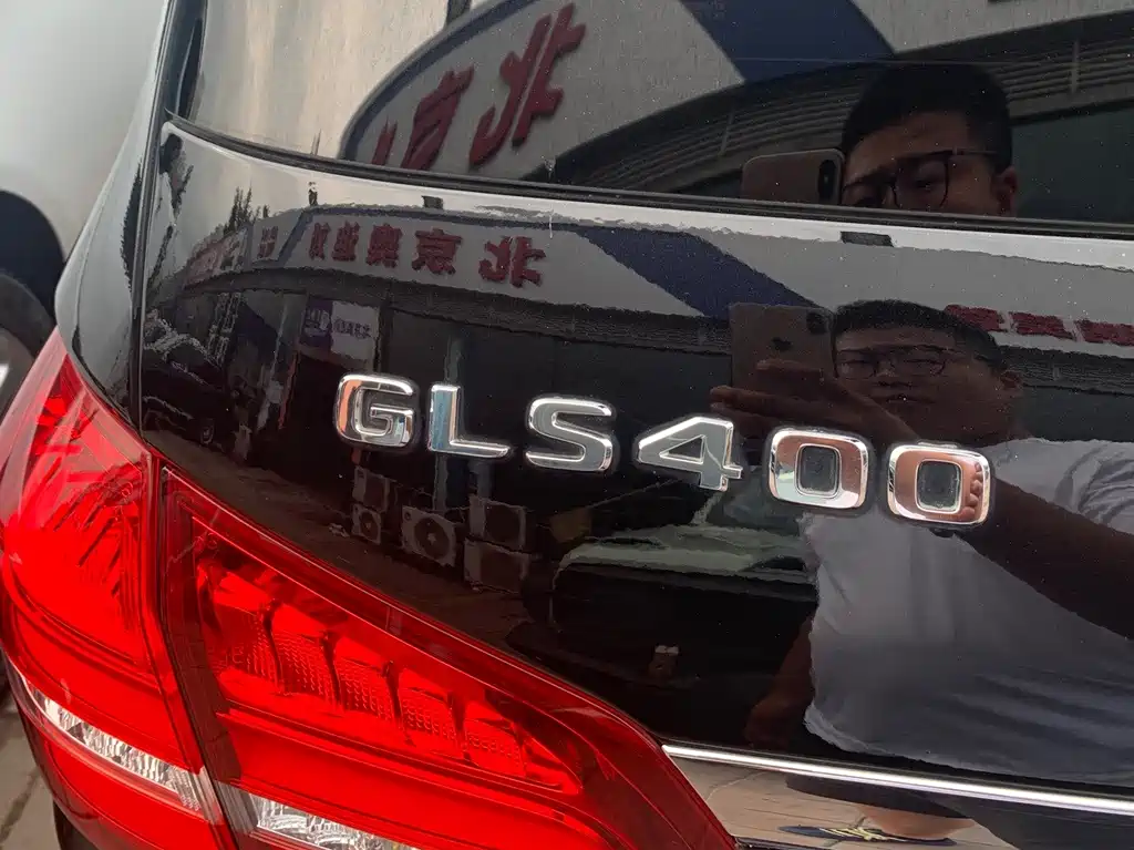 Mercedes-Benz GLS 2019 — фото 16