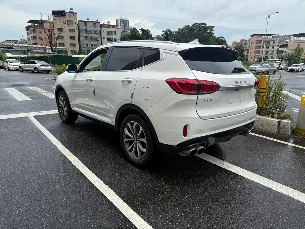 Wey VV6 2019