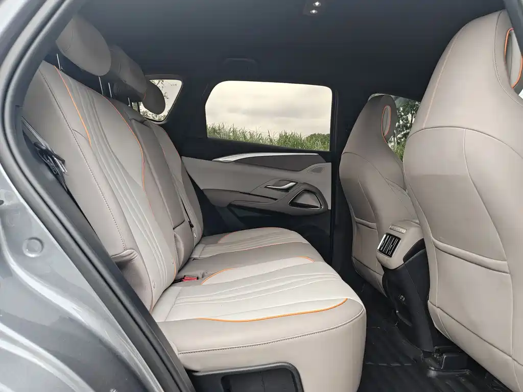 BYD Pro New Energy 2024 — фото 28
