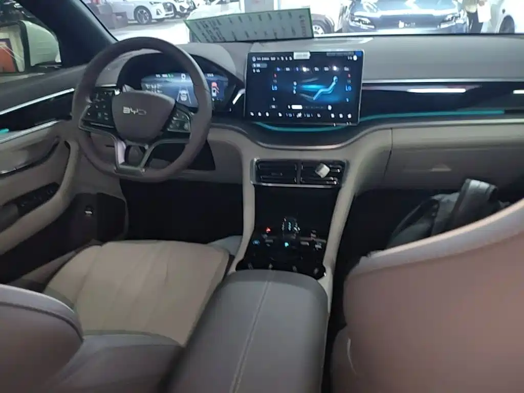 BYD PLUS New Energy 2025 — фото 10