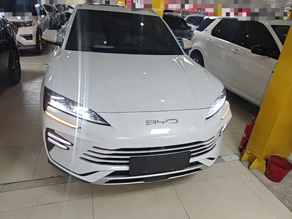 BYD PLUS New Energy 2024 — фото 3