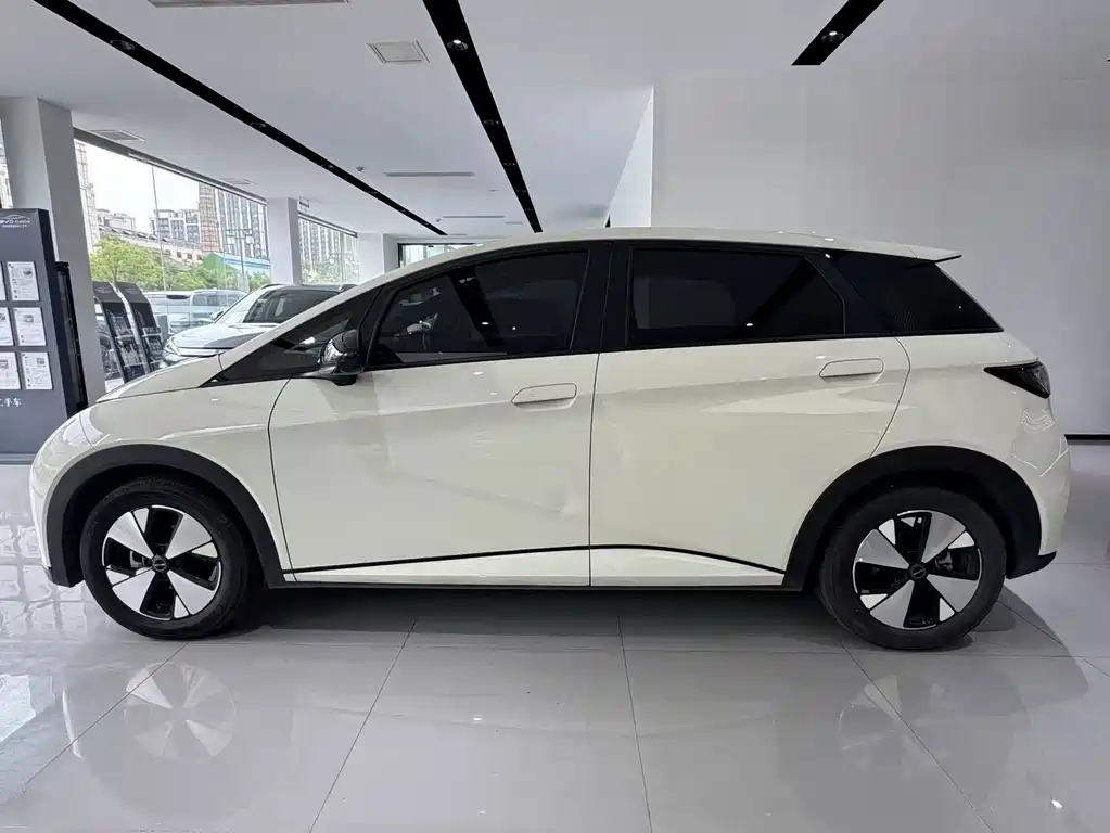 BYD Dolphin 2023 — фото 14