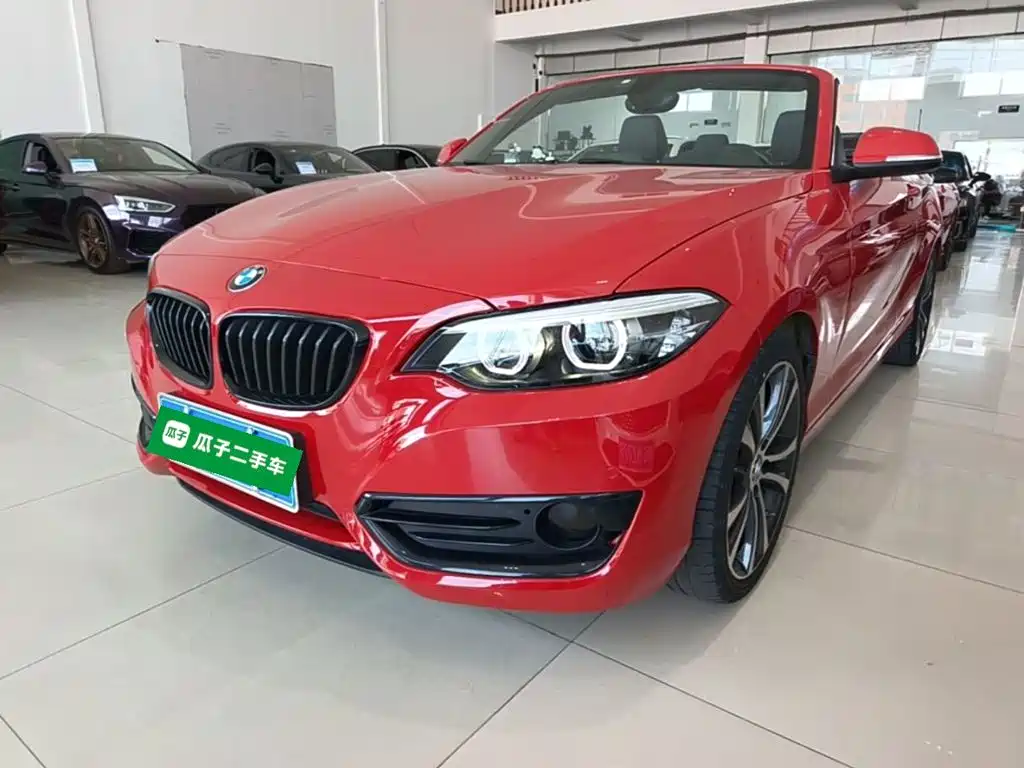 BMW 2 Series 2019