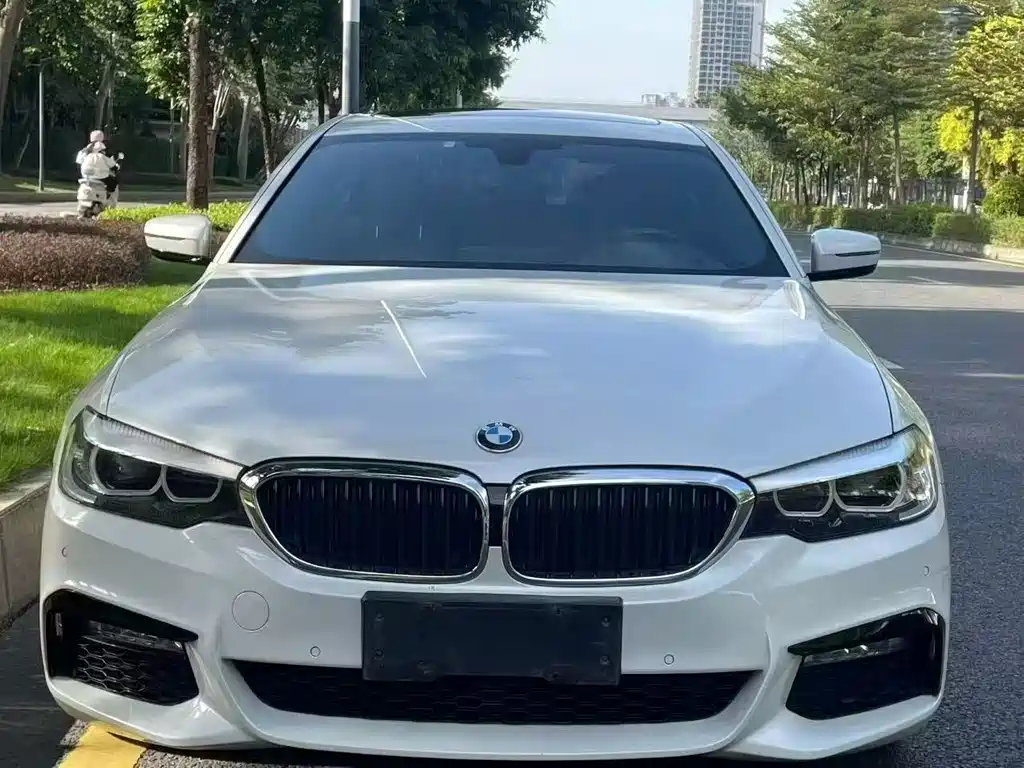 BMW 5 Series 2019 — фото 2