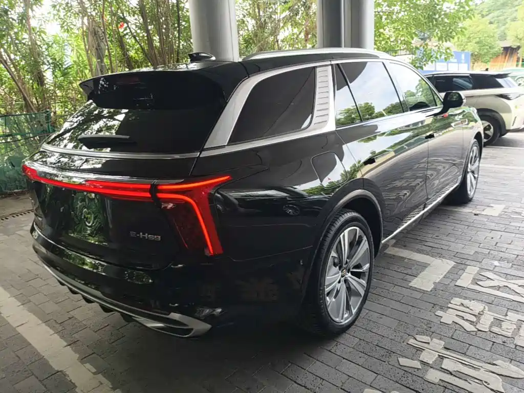 Hongqi E-HS9 2023