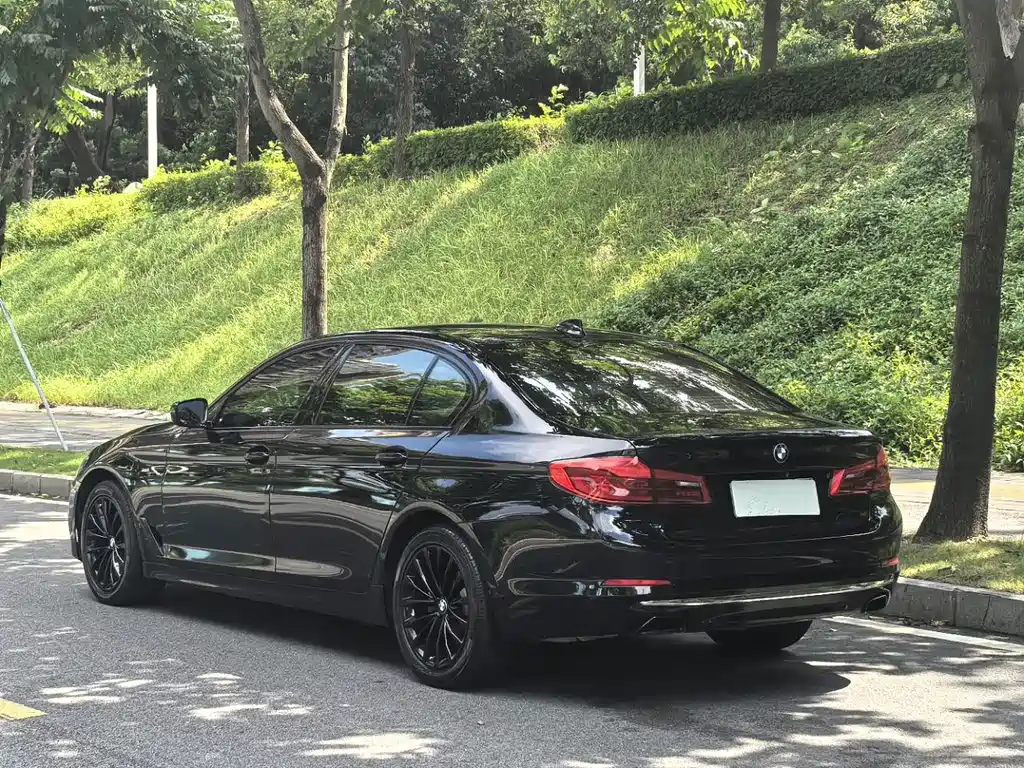 BMW 5 Series 2019