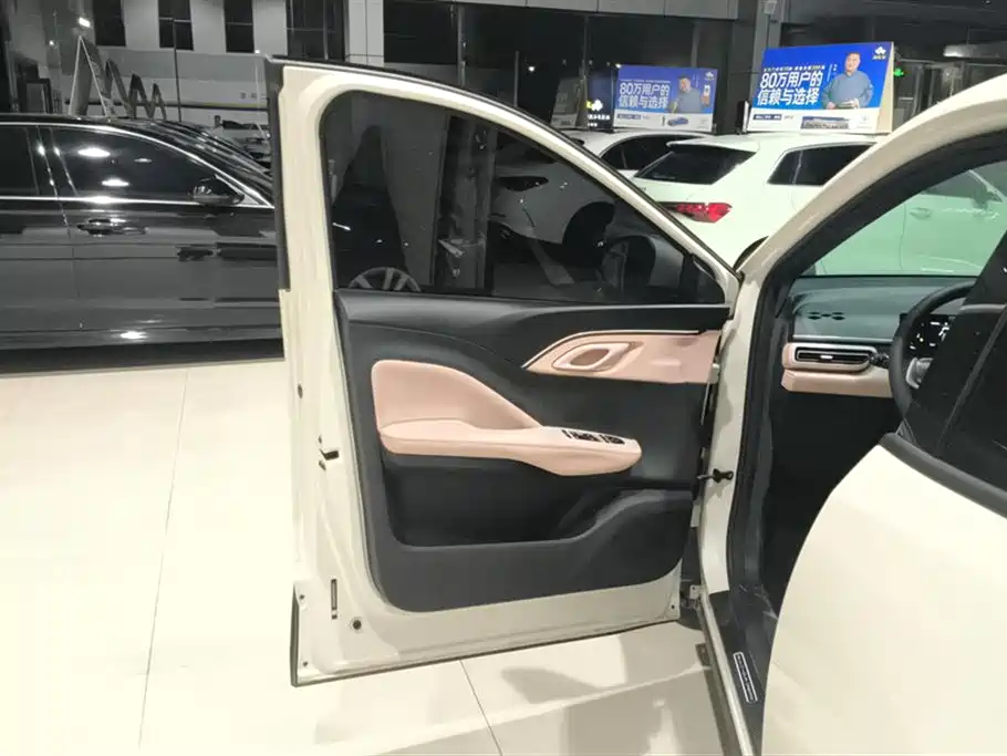 BYD Seagull 2024