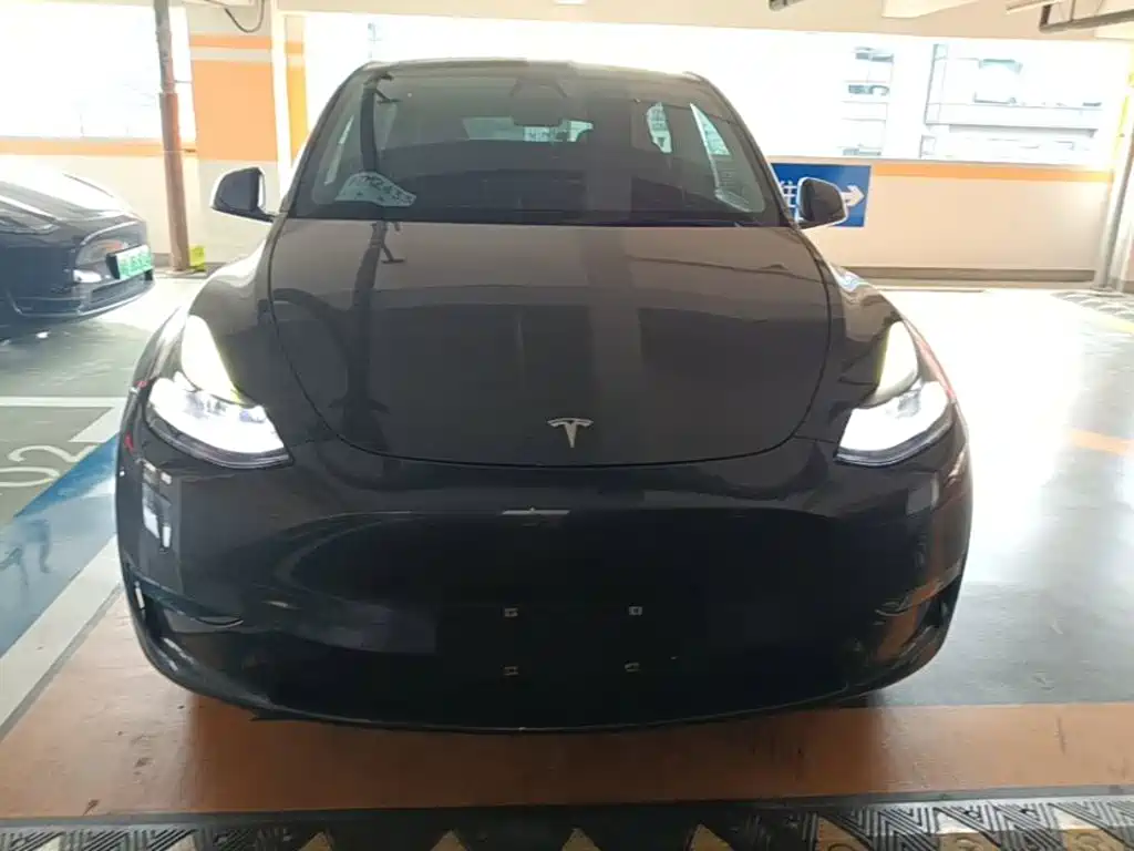 Tesla Model Y 2021 — фото 3