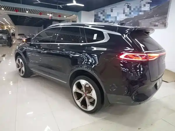 Denza X 2021