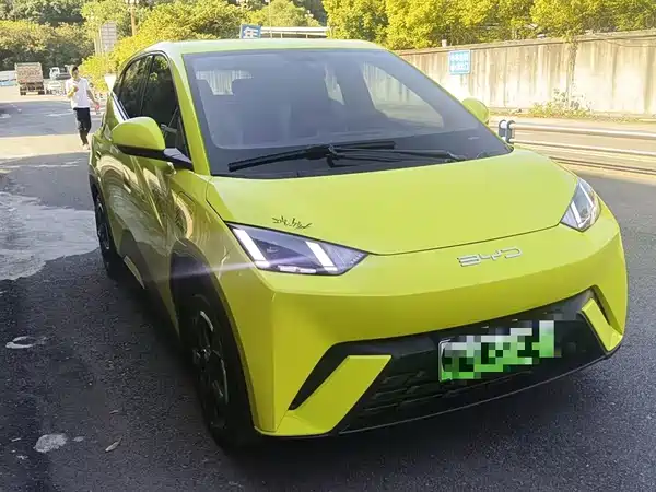 BYD Seagull 2024