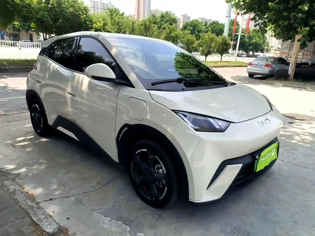 BYD Seagull 2024