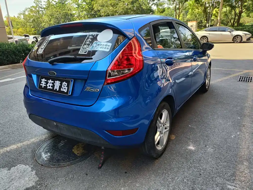 Ford Fiesta 2010 — фото 12
