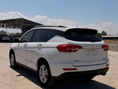 Haval M6 2019