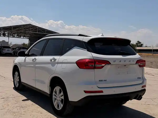 Haval M6 2019
