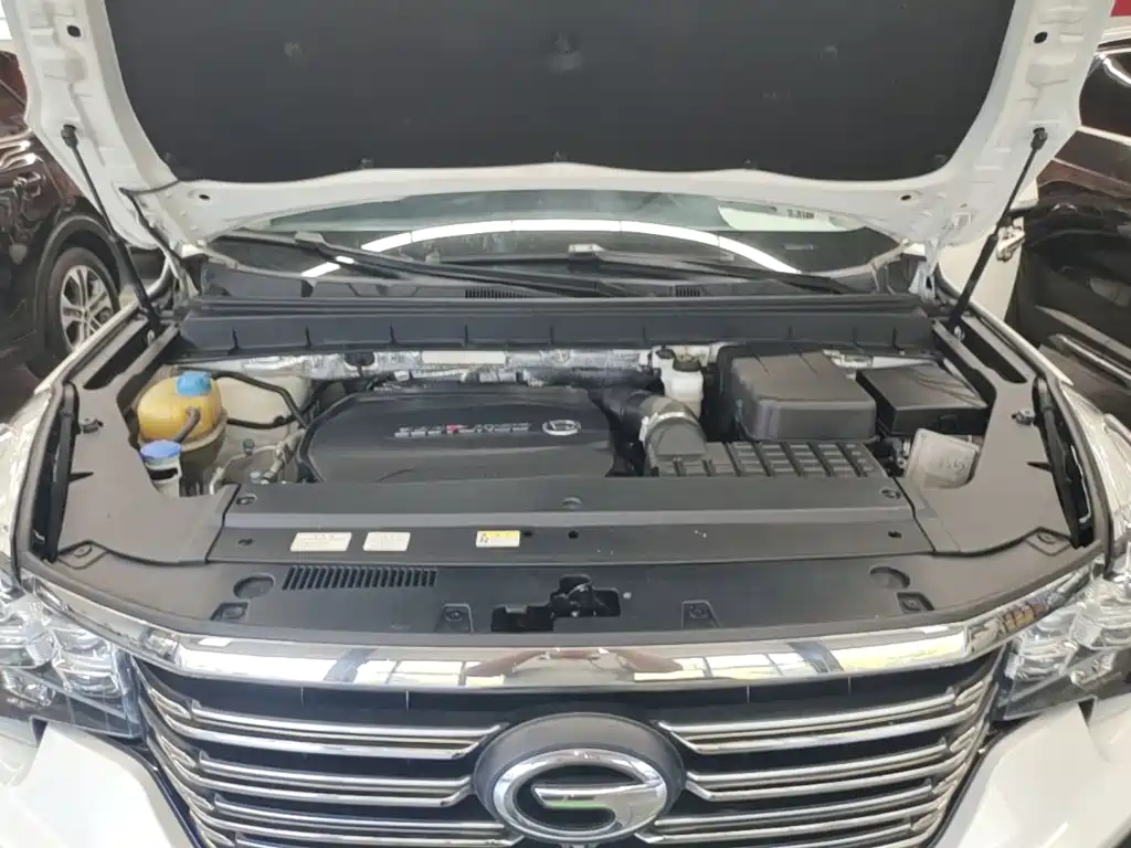 GAC Motor Trumpchi GS8 2020 — фото 20