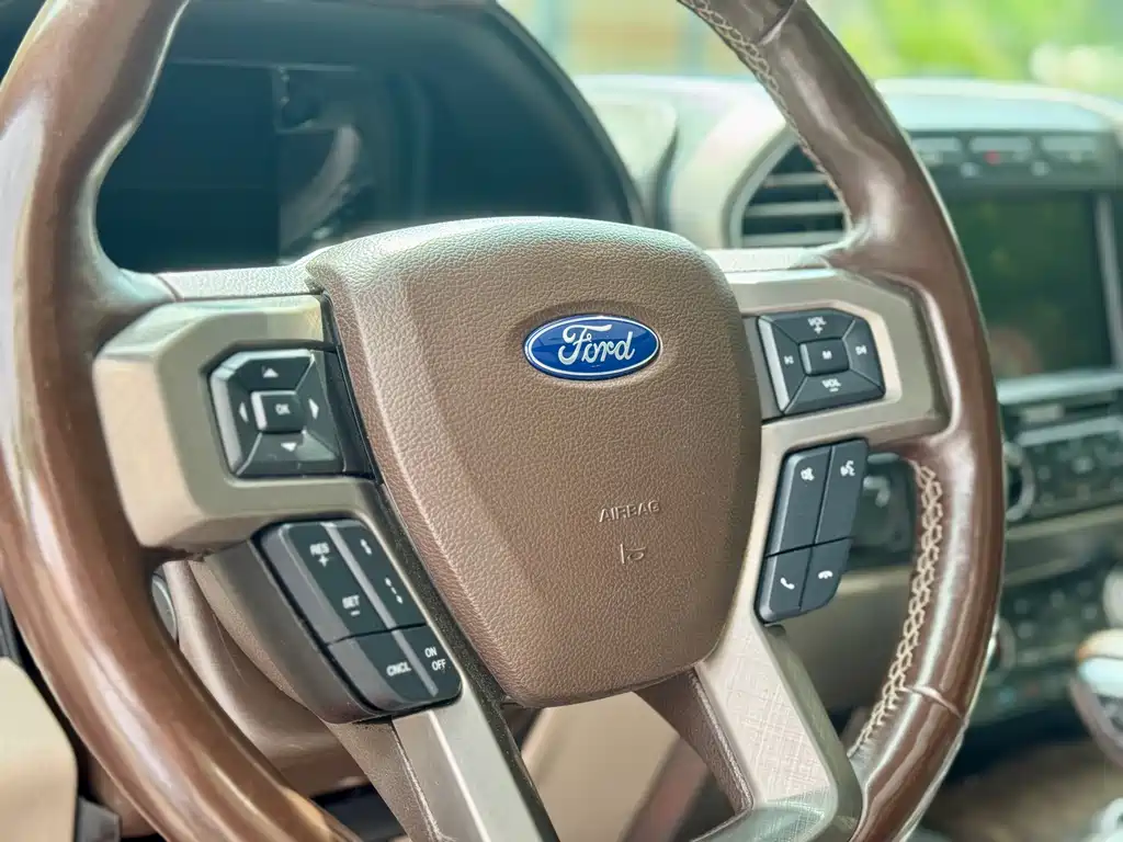 Ford F-150 Raptor 2020 — фото 15