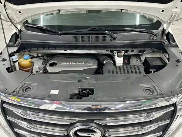 GAC Trumpchi M8 2018
