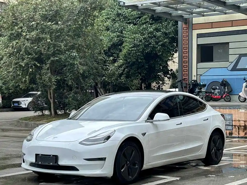 Tesla Model 3 2020 — фото 1