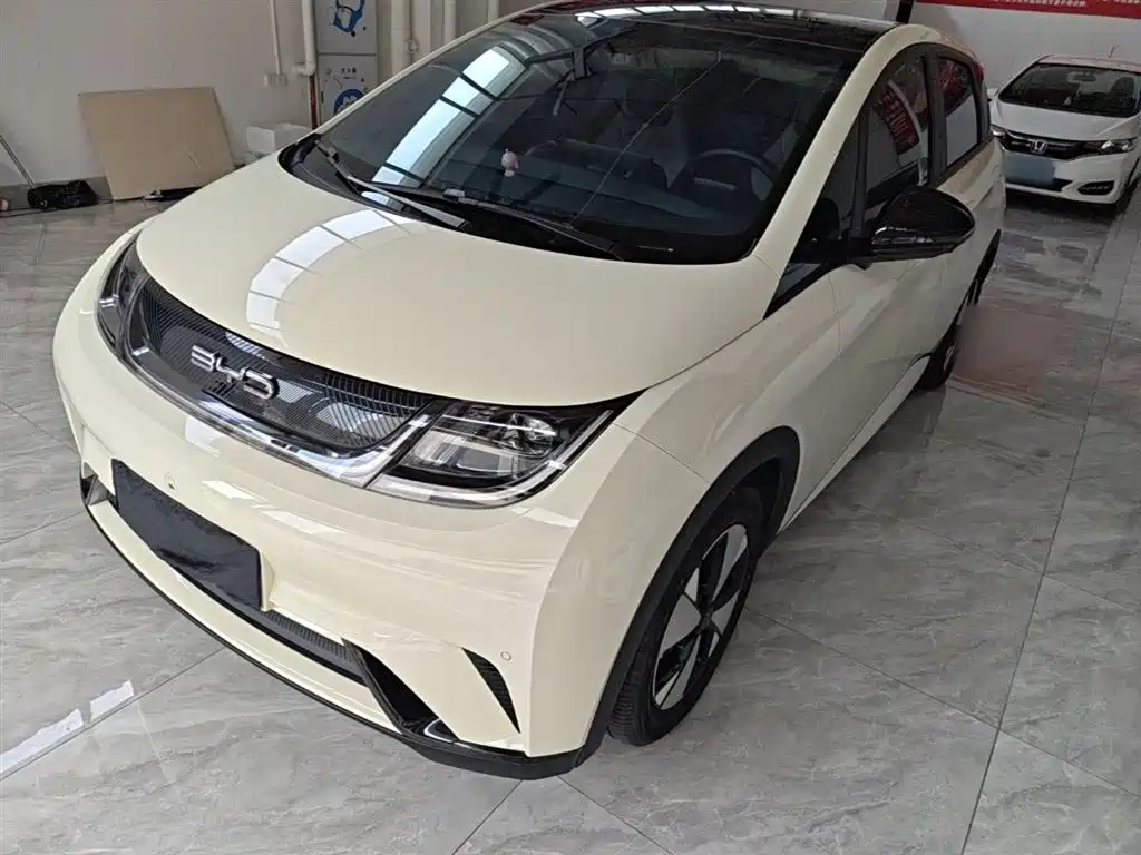 BYD Dolphin 2024 — фото 1