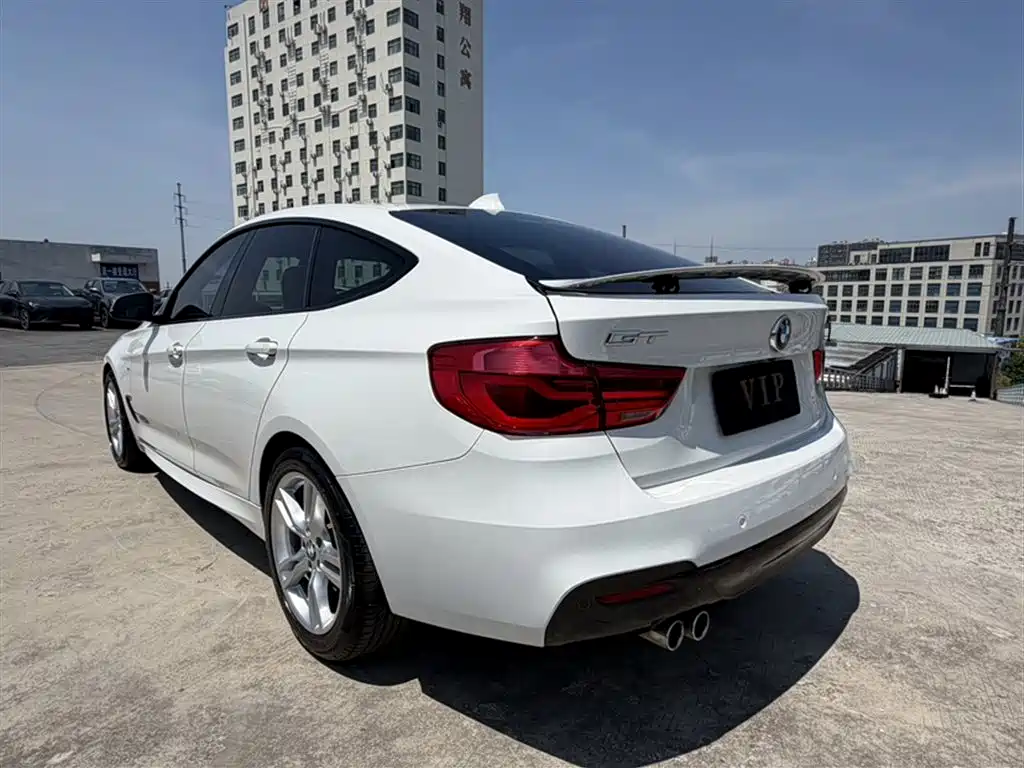 BMW 3 Series GT 2019 — фото 25