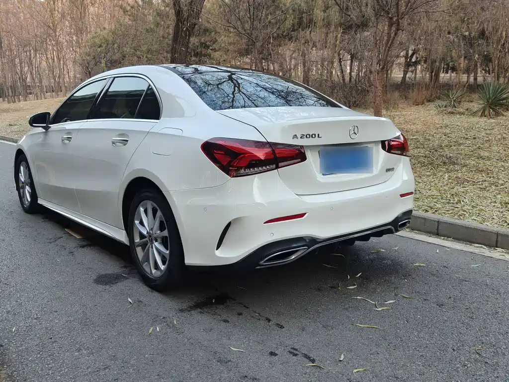 Mercedes-Benz A-Class 2020 — фото 16
