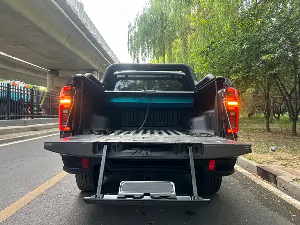 Great Wall Poer 2021