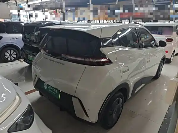 BYD Seagull 2024