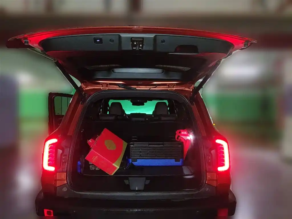 Haval Big Dog 2021 — фото 10