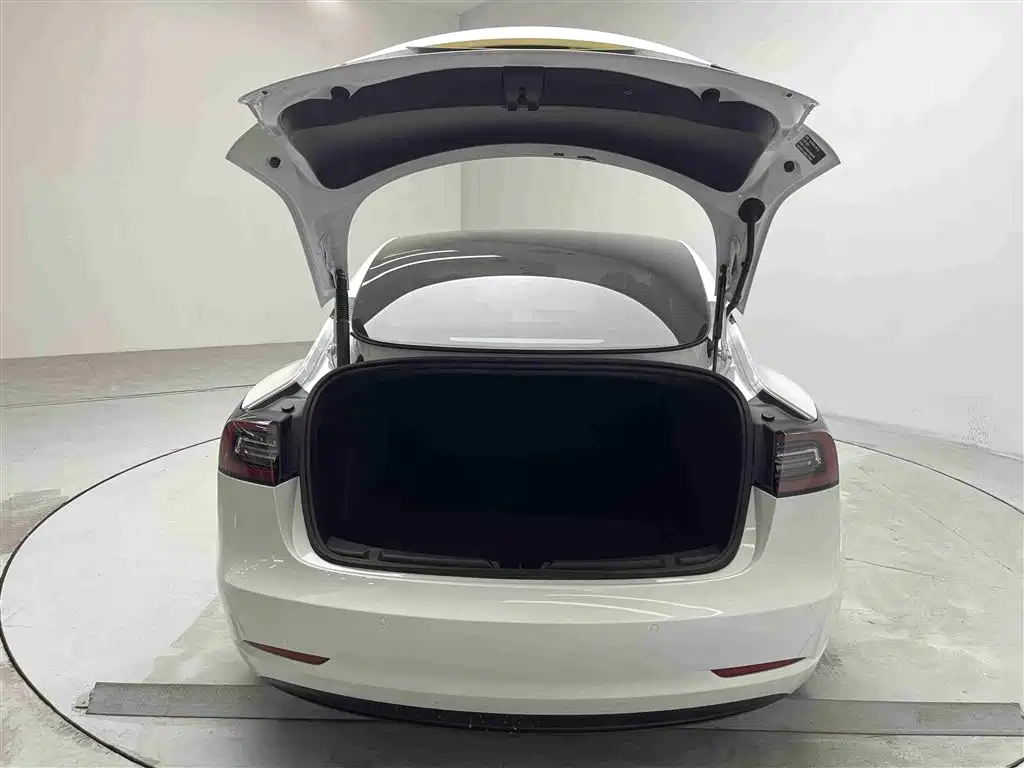 Tesla Model 3 2021 — фото 14