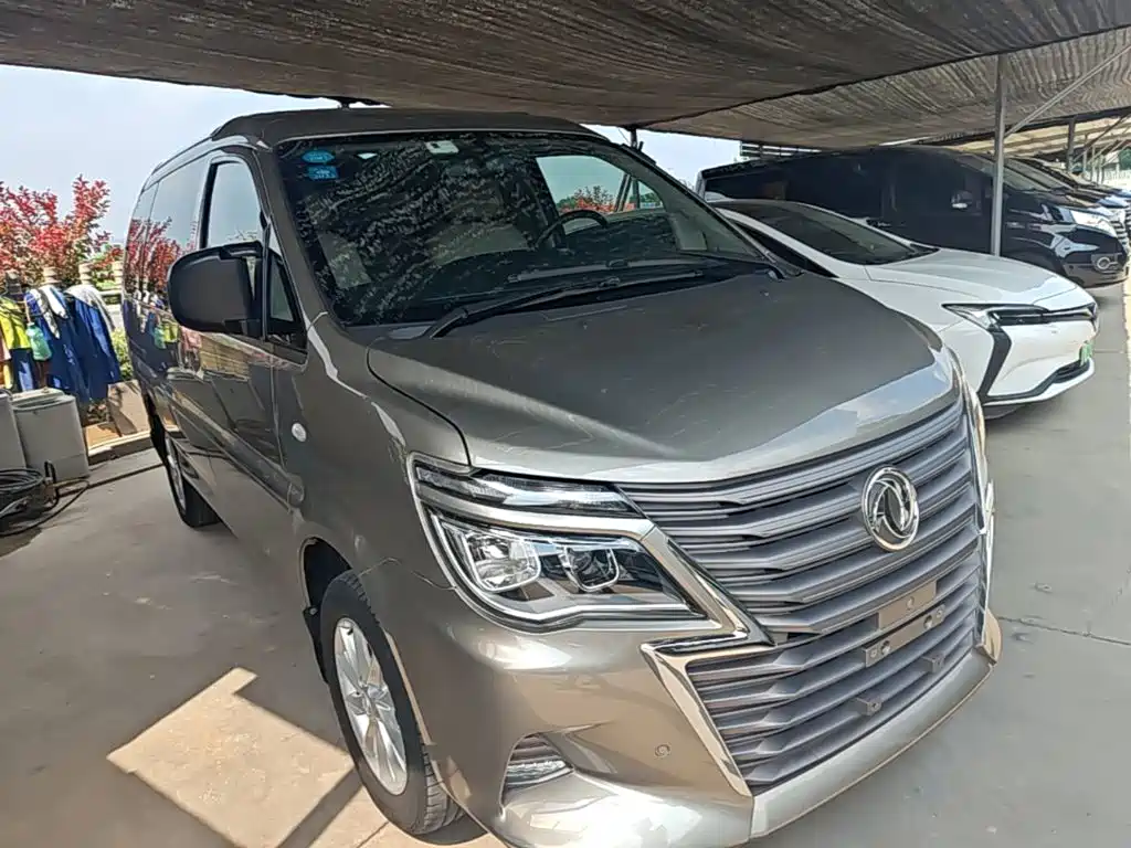 Dongfeng Lingzhi 2020