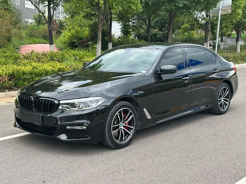 BMW 5 Series 2018 — фото 1