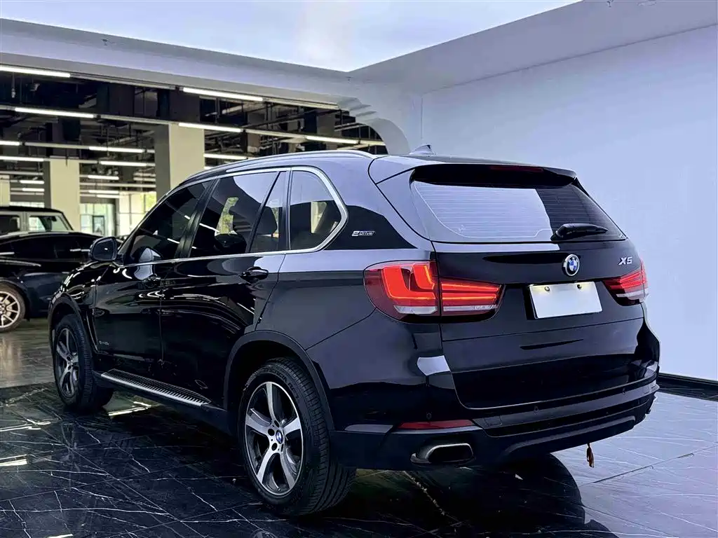 BMW X5 New Energy 2016 — фото 18