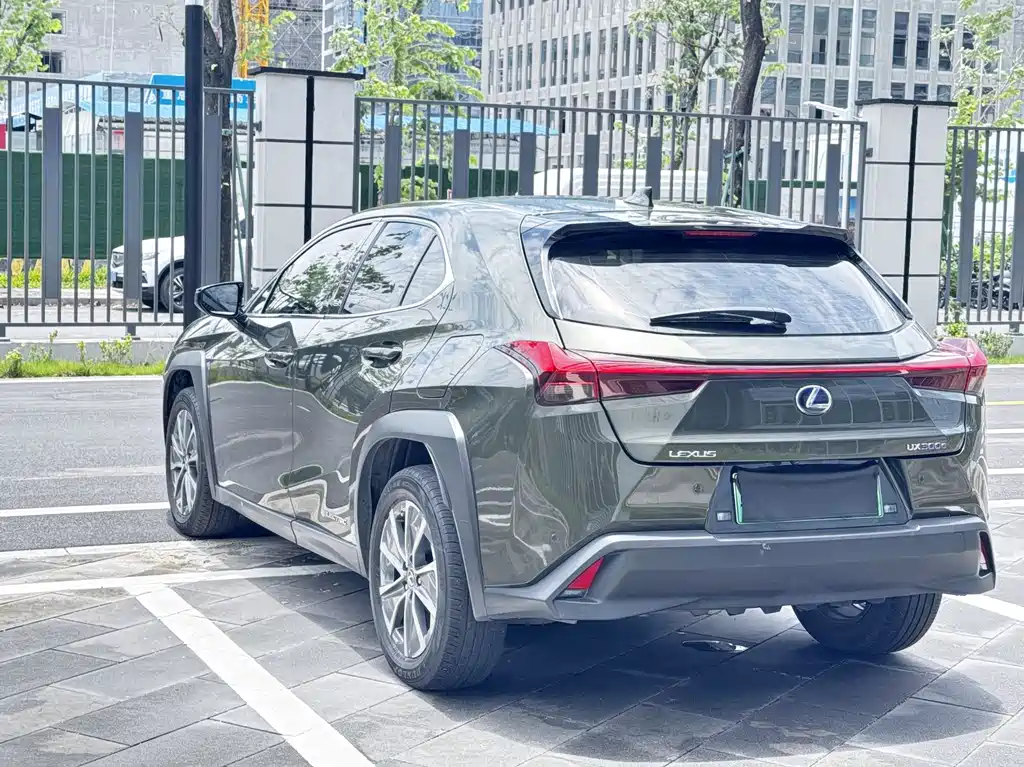 Lexus UX New Energy 2021 — фото 7